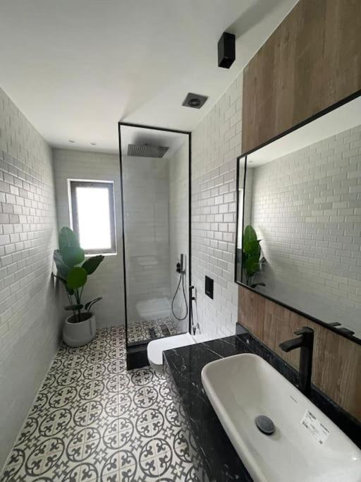 Apartment Beautiful In New For Rent